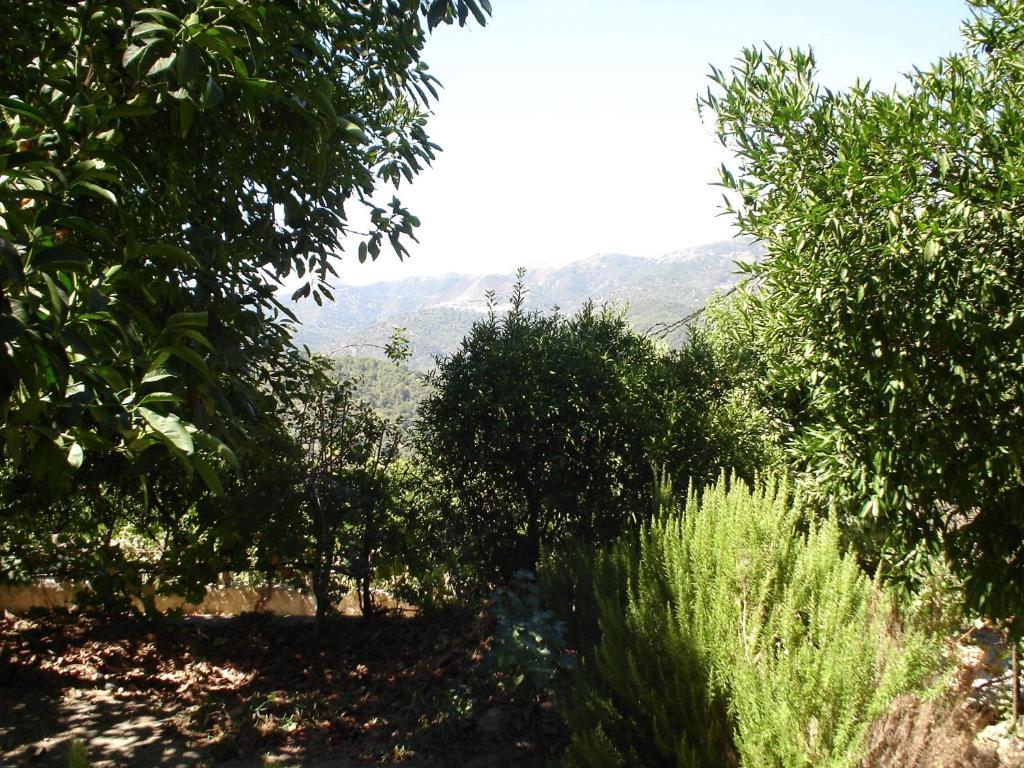 Posada Mirador De Jubrique Εξωτερικό φωτογραφία