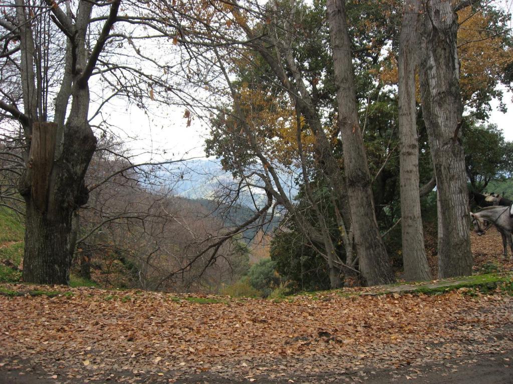 Posada Mirador De Jubrique Εξωτερικό φωτογραφία