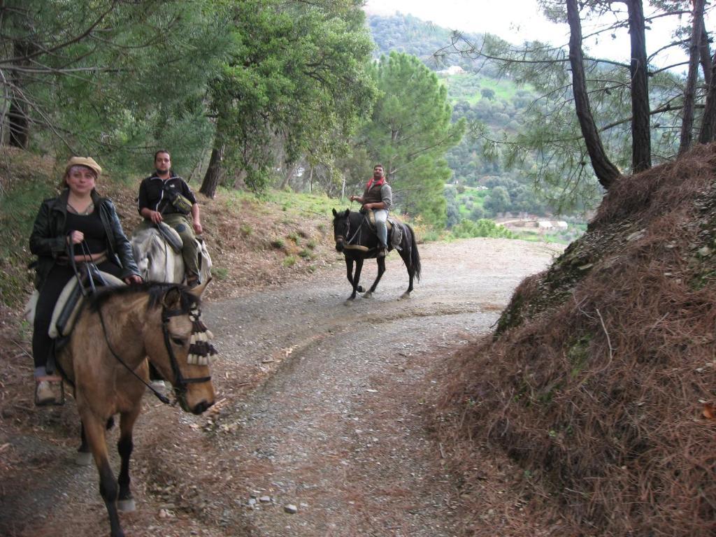 Posada Mirador De Jubrique Εξωτερικό φωτογραφία