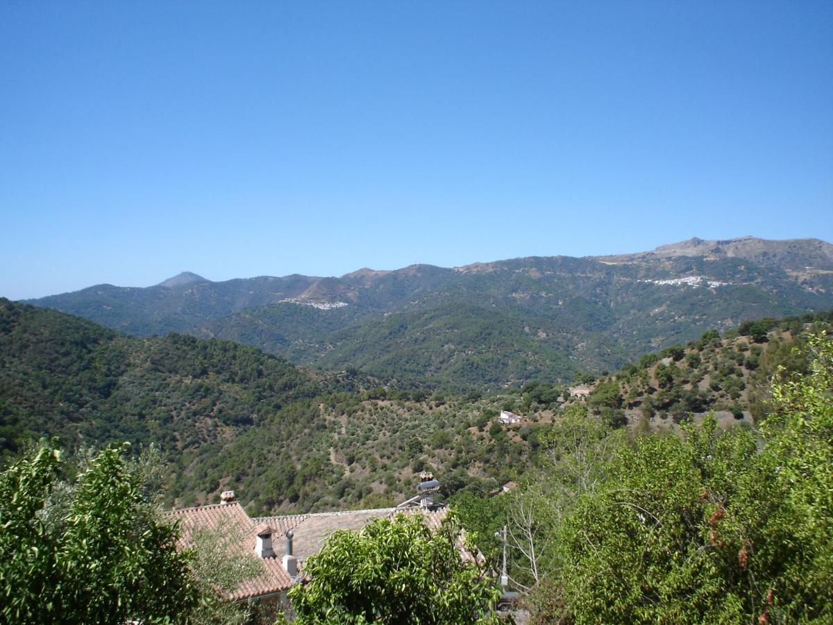 Posada Mirador De Jubrique Εξωτερικό φωτογραφία